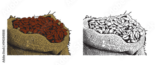 Coffee set graphic color isolated sketch illustration vector. Coffee beans in Hands. Art colorful design element