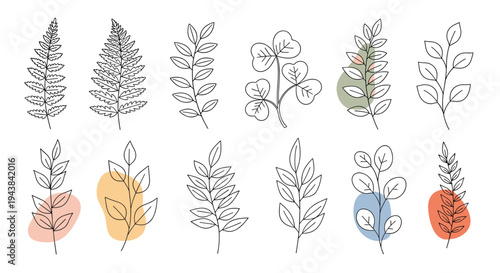 Collection of various botanical leaf sketches and fern branches with abstract colorful shapes in minimalist style.