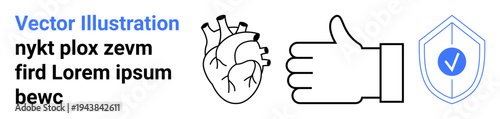 Health and wellness, approval signals, digital security, medical safety, protection concepts, healthcare. Black and white heart, thumbs-up sign blue shield with a check mark. Health and wellness