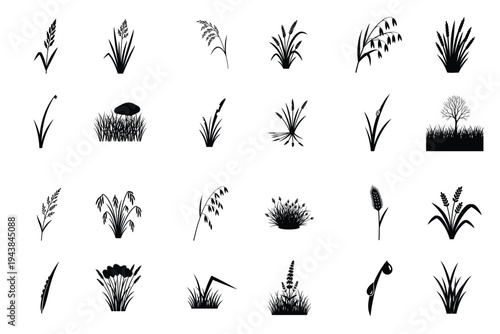 Black silhouettes of various grass, wheat, oat, and cereal plants for agricultural and nature-themed designs.