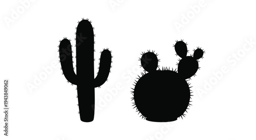 Silhouettes of two different cactus plants against a white background