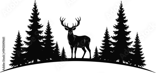 Deer, stag, buck, with, antlers, standing, in, pine, forest, silhouette, landscape, nature, wildlife, coniferous, trees, vector, illustration, black, white, isolated,