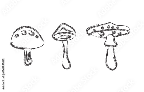 Simple sketch of three mushrooms with spotted caps varying in shape and size