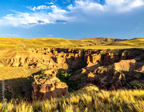 A vast canyon landscape with golden grass and blue sky