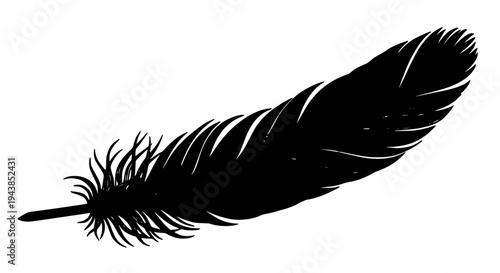 Feather black silhouette with fluffy quill and smooth barbs on white background. featuring graphic resource, icon,