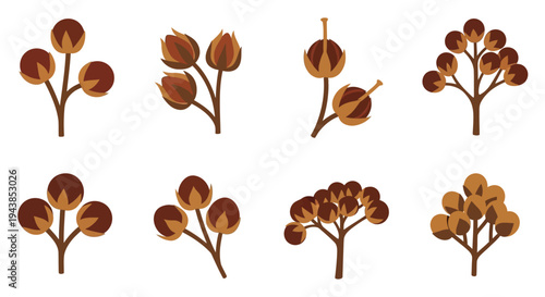 Stylized illustration of cotton plant branches with fluffy bolls