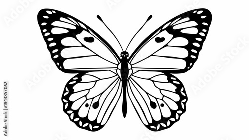 Beautiful swallowtail butterfly with colorful blue and yellow wings isolated on a white background for a macro nature illustration of this flying lepidoptera insect