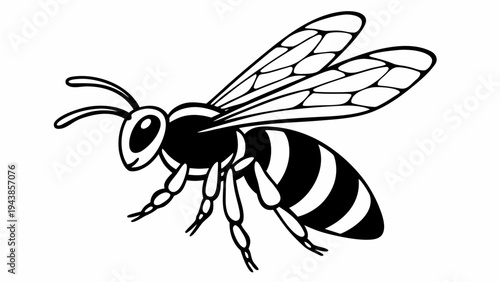 Isolated vector illustration of a bee, a wasp, and a black and white spider closeup on a white background featuring detailed wings and nature insect elements created with generated ai