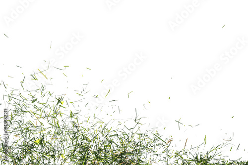 Bild auf Leinwand Fresh green grass clippings flying upward against a Transparent background, isolated with copy space, dynamic motion and texture, ideal for lawn care or gardening concepts