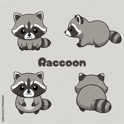 cute raccoon four gray color images