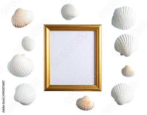 A beautiful collection of tropical sea shells and starfish arranged in a natural marine frame on a white background featuring various beach scallops and ocean conch shells for summer decoration