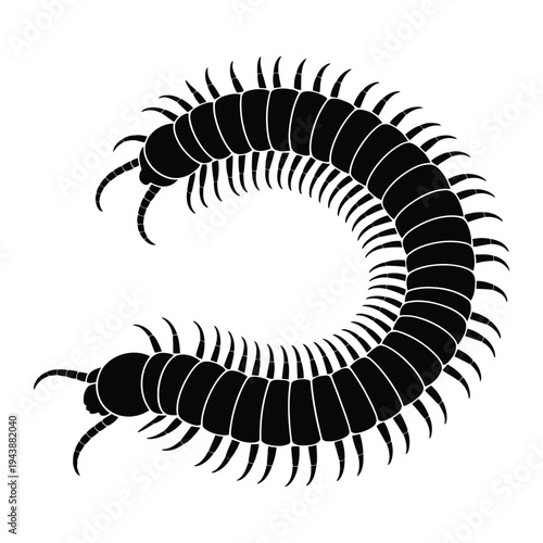Millipede crawling in a curved path Vector, Silhouette, Illustration