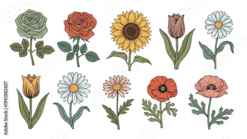 A vibrant collection of flowers including sunflowers, roses, and daisies are arranged artistically on a white background.