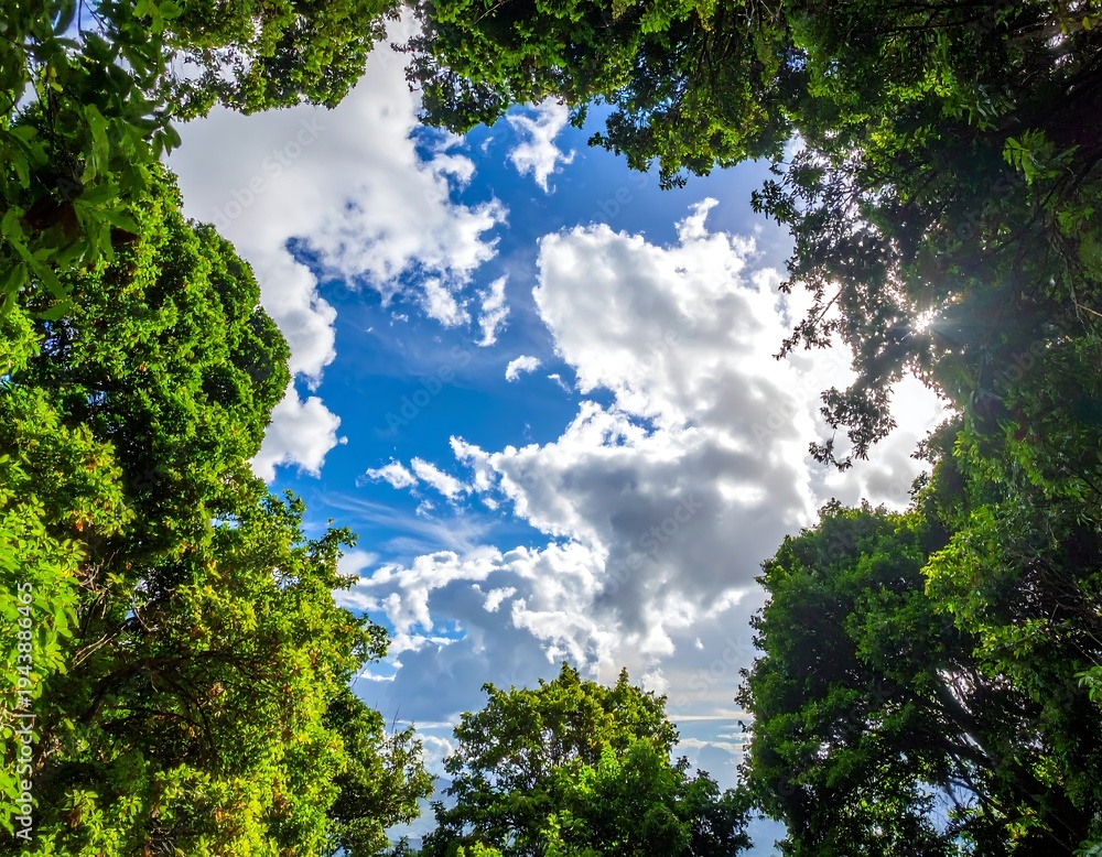 Obraz premium A sunny day with fluffy clouds and lush green trees