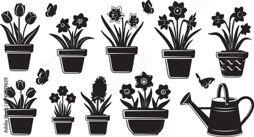 Black and white illustration of potted plants and flowers