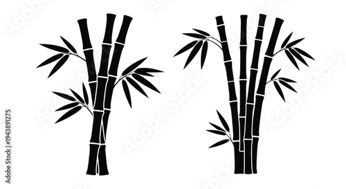 Stylized black and white illustration of bamboo stalks with leaves