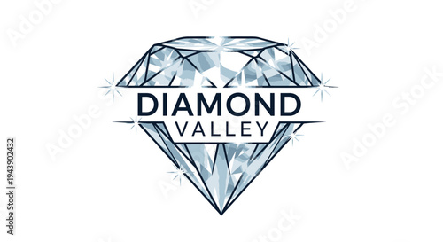 Diamond Valley Jewelry Company Logo Design 1.