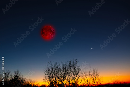 Lunar eclipse, stars and planets above landscape silhouettes.