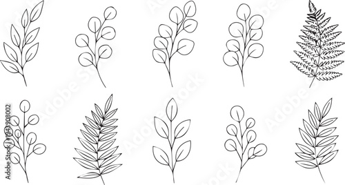 Set of wheat ears vector illustration with floral and nature elements