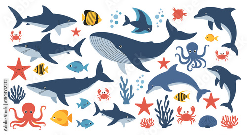 Large collection of diverse sea life illustrations including whales, sharks, dolphins, octopuses, crabs, and colorful coral.