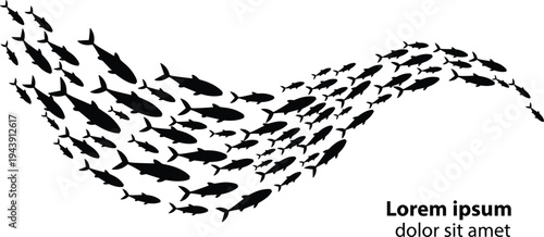A school of fish swimming in a curved formation against a plain background