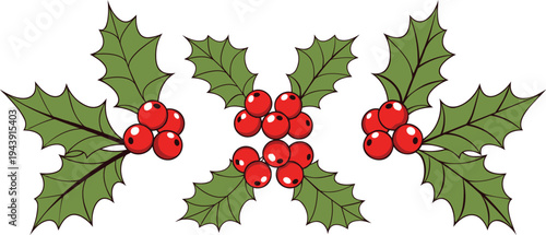 Vector illustration of three holly sprigs with red berries and green leaves, festive holiday element, holly, berries, leaves, christmas, winter, holiday, decoration