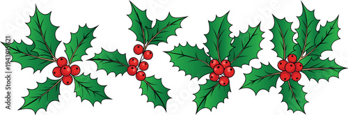 Christmas holly berry garland border - festive holiday decoration with holly leaves with red berries with festive with holiday with border with seasonal with winter
