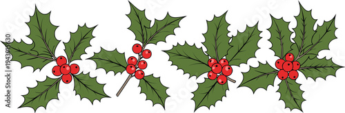 Festive holly berry swag for christmas and winter holidays with holly berries with festive decoration with winter holiday with christmas design with seasonal