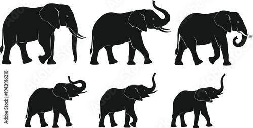 Six elephants in various walking postures illustrated in black and white