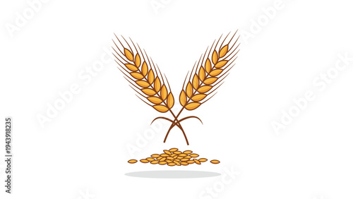 Simple illustration of two crossed golden wheat ears with several grains falling down below on a clean white background.
