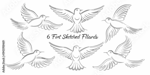 Six sketched birds in various flight poses grayscale illustration