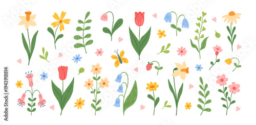 Spring and summer abstract hand drawn flowers. Floral elements, wildflower, tulips, leaves and herb, daffodil, foliage. Beautiful blossom meadow and garden flowers. Vector illustration.