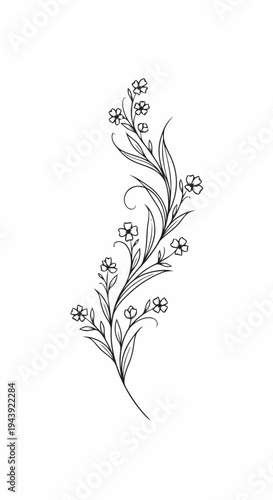 Elegant floral illustration of a delicate sprig with small blossoms and leaves, perfect for tattoo or decorative design