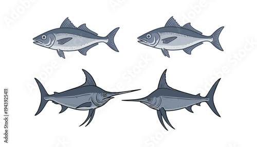 Fish vector illustration set featuring tuna and marlin in gray shades