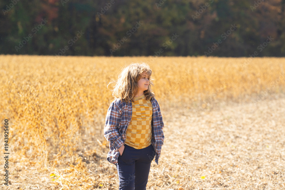 Obraz premium Child in a wheat field. Little farmer at work. Kid at rural countryside. Kid on a farm. Carefree childhood outdoors. Kid walking in golden wheat. Kid in the meadow. Harvest season fun. Child on