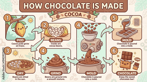 How Chocolate Is Made Step by Step Cute Cartoon Kids Educational Infographic.