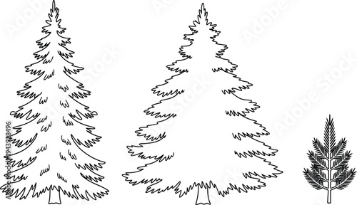 Collection of evergreen tree and branch line art illustrations perfect for nature forest or Christmas design projects isolated on a white background