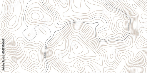 Geographic abstract pattern. The topo contour or wallpaper. Mountain trail terrain or path.The stylized height of the topographic map contour in lines and contours isolated on transparent.
