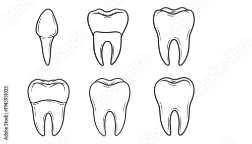 Tooth icon set with different dental illustrations and outlines