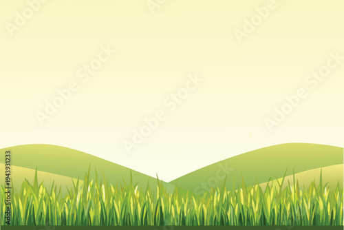 Green grass growing on rolling hills with a soft yellow sky nature landscape
