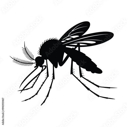 Mosquito side view with extended proboscis Vector, Silhouette, Illustration