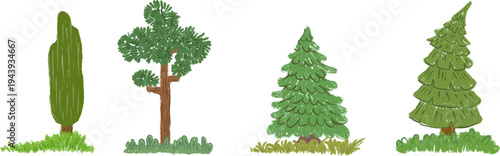 Stylized tall columnar cypress, evergreen pine trees vector with distinct needle clusters and textured brown trunk on green patch.