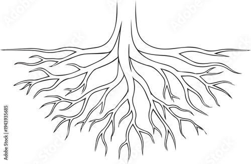 Vector illustration of tree roots