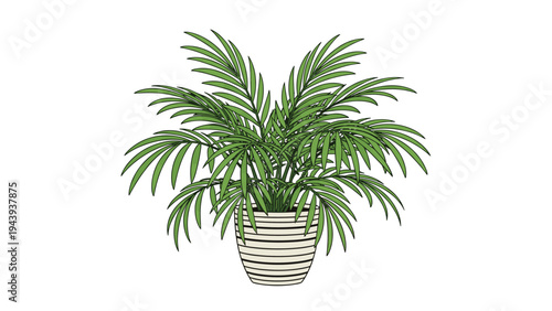 Detailed illustration of a lush green indoor palm plant situated in a decorative white pot with black horizontal stripes.