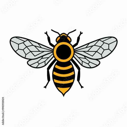 Yellow and Black Bee Illustration with Wings.