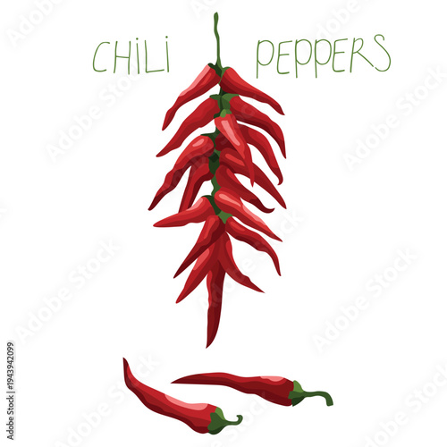 Hot red chili peppers on white background. Flat vector illustration the bunch of chili peppers.