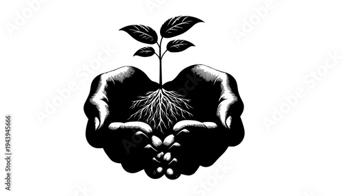 human hand with a heart shape