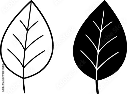 Leaf illustration icon, outline and silhouette, for nature theme design