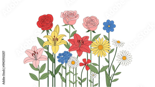 Colorful flowers bloom in garden with green leaves and stems