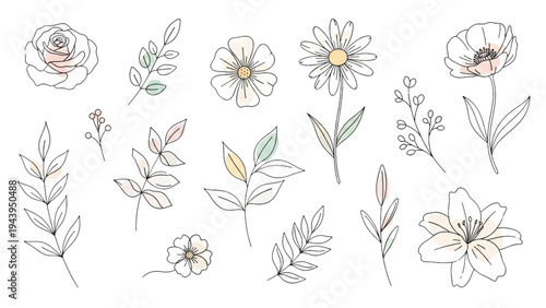 A beautiful illustration of various flowers and leaves on a white background